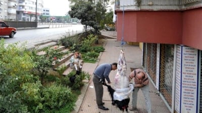 Sokakta kurban kesip, atıklarını gömenlere ağır cezalar kesilecek