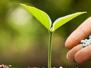AB bazı gübrelerdeki vergileri askıya alıyor
