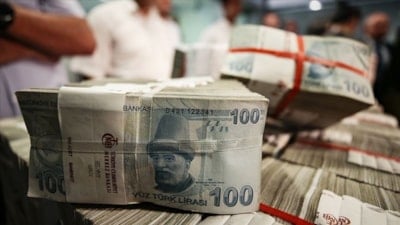 Yerel Kalkınma Hamlesi'nde 29,5 milyar liralık yatırım başvurusu