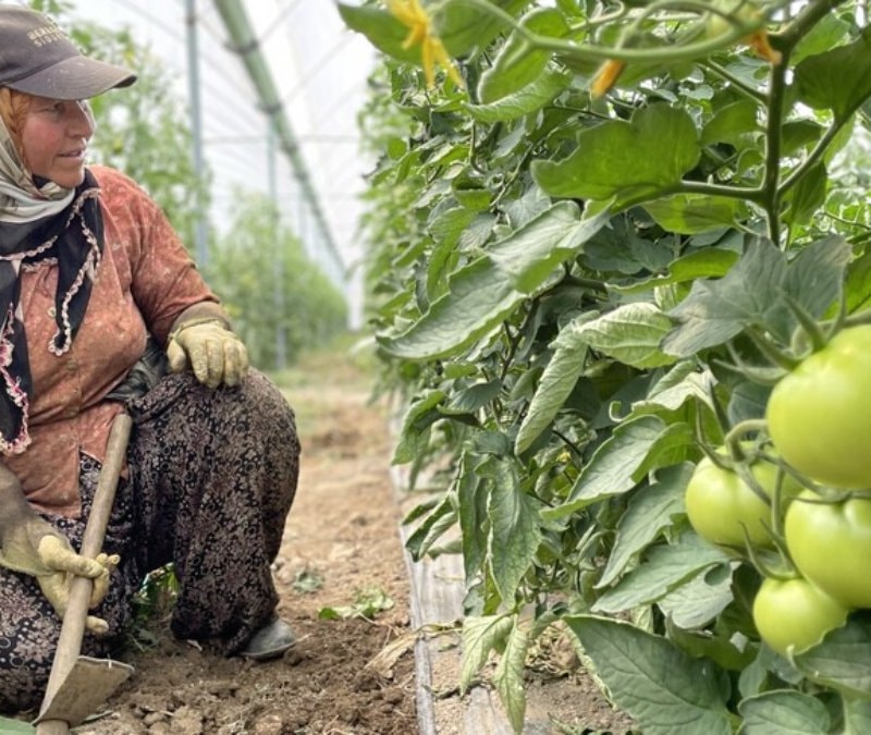 Antalya, Türkiye'nin meyve ve sebze üretiminde lider