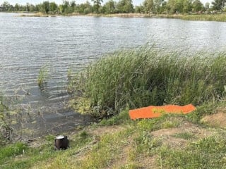 Sakarya'da tabiat parkındaki gölette kadın cesedi bulundu