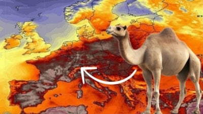 Afrika'dan yola çıktı! Kurban Bayramı müjdesi: 24 saat ısıtacak