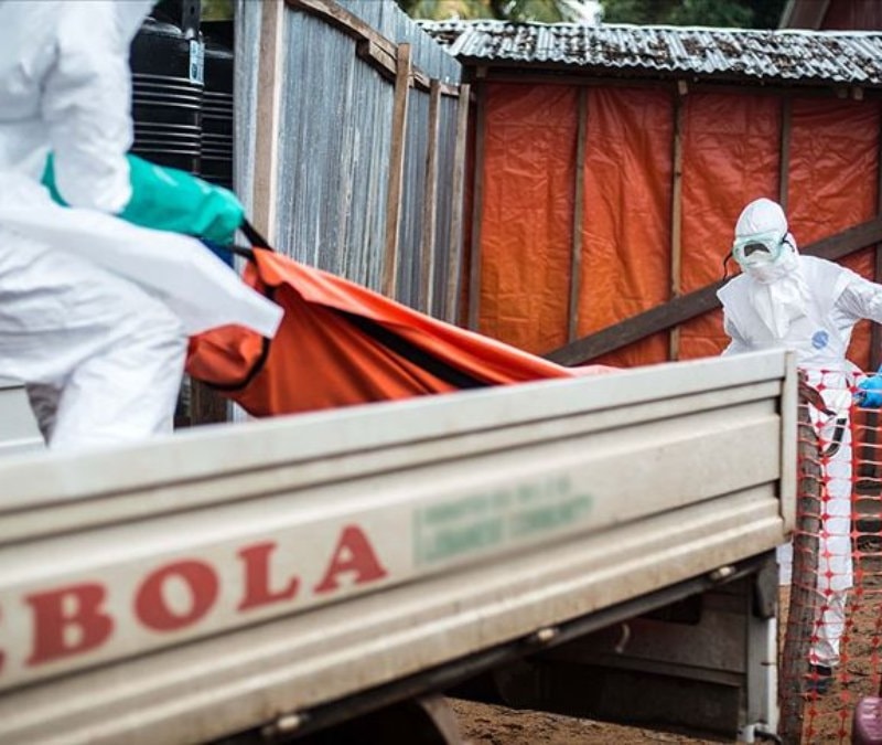 DSÖ: 900’den fazla şüpheli Ebola vakası tespit edildi