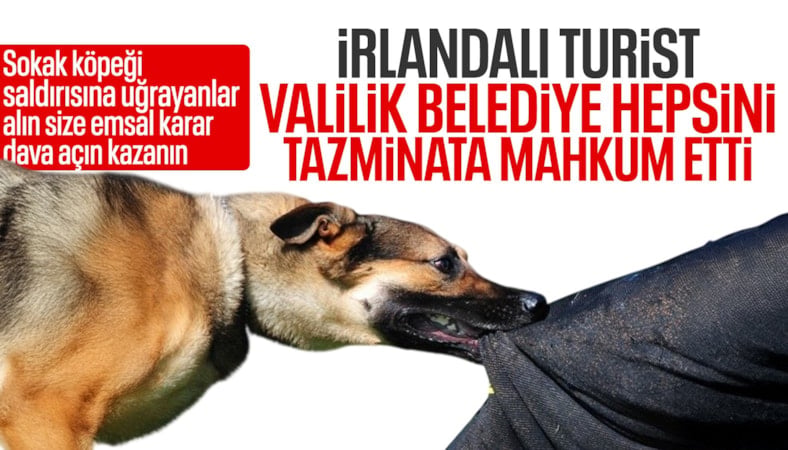 İstanbul'da köpeğin ısırdığı İrlandalı turist tazminat davası açtı