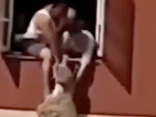 Fas’ta kurbanlık koyun pencereden atladı