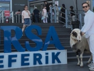 Bursa’da kurbanlık koçla teleferik keyfi: Uludağ’da renkli görüntüler