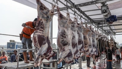 Kurban kesim vakitleri: Saat kaçta başlar, kaçta biter? Gece kesilir mi?