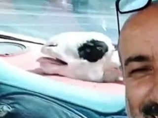 Niğde’de aldığı kurbanlık koyunla yolculuk yapıp selfie çekti