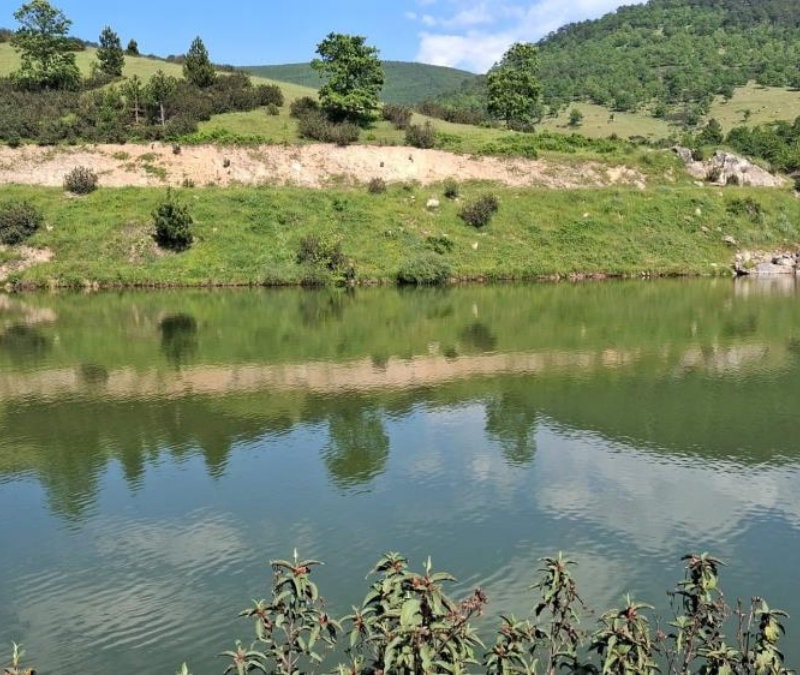 Bursa'da gölete giren genç boğuldu