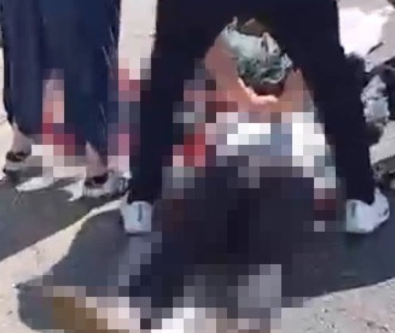 Şanlıurfa’da kurbanlık yüklü kamyonet devrildi: 1 ölü, 1 yaralı