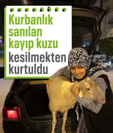 İznik’te 'Çorap' sevinci: Kurbanlık sanılıp alınan kuzu sahibine kavuştu