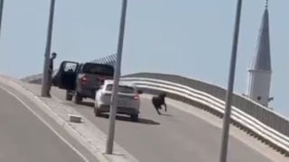 Mersin'de kaçan keçi, trafiği birbirine kattı