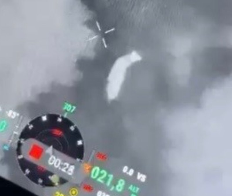 Osmaniye'de drone destekli kurbanlık araması: Tesadüfen başka kayıp hayvan bulundu