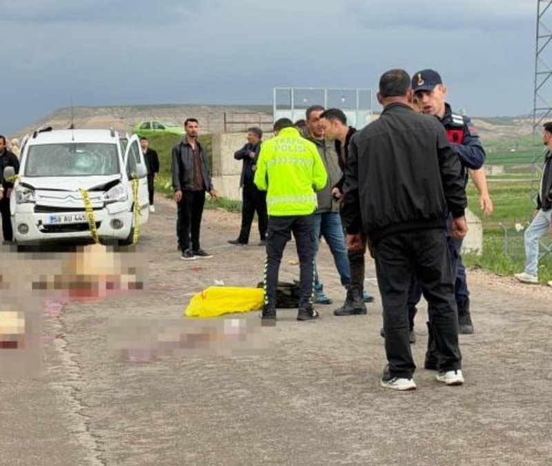 Sivas'ta ticari araç koyun sürüsüne daldı: Çoban öldü