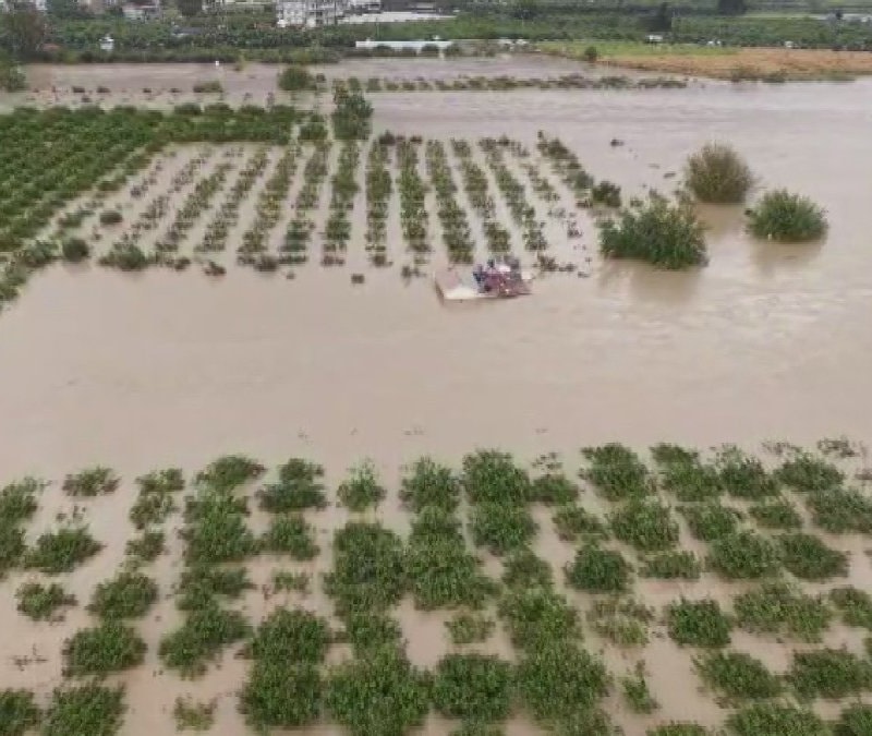 Hatay'da tarım arazilerindeki hasar sular çekilince ortaya çıktı