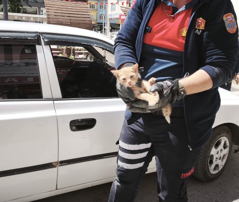 Afyonkarahisar'da inatçı yavru kedi, iki kez kendisini mahsur bıraktı