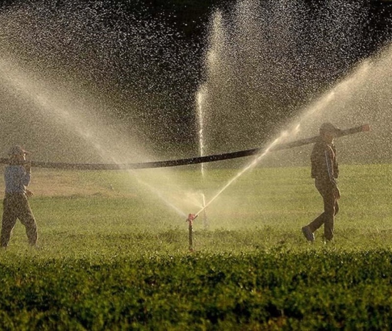 Tarımda sulama yatırımları meyvelerini verdi: 12 milyar lira katkı
