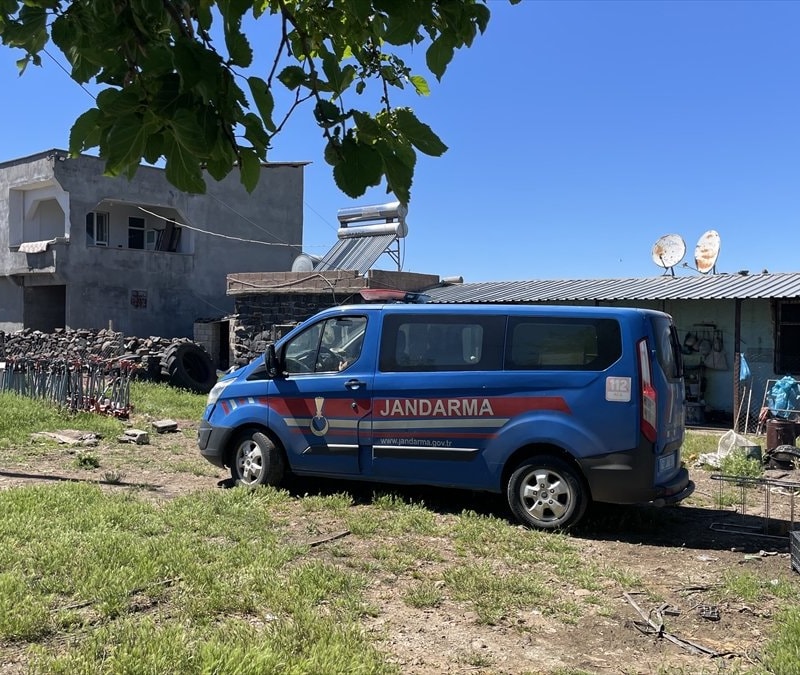 Şanlıurfa'da yılanı vurmak isterken 5 kişiyi yaraladı