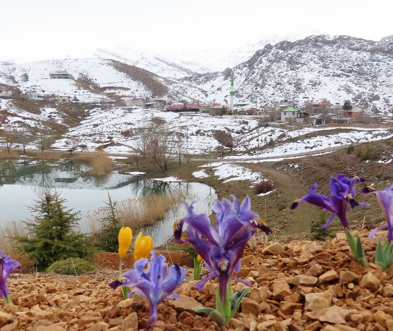 Antalya'da bulunan Eğrigöl Yaylası'nda doğa canlanmaya başladı