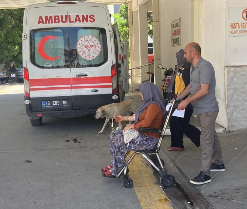 Mersin'de mantar yiyen 7 kişi rahatsızlanarak hastaneye kaldırıldı
