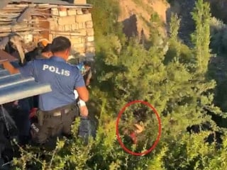 Nevşehir'de psikolojik sorunları olan şahıs dere yatağına düşerek ağaçta asılı kaldı