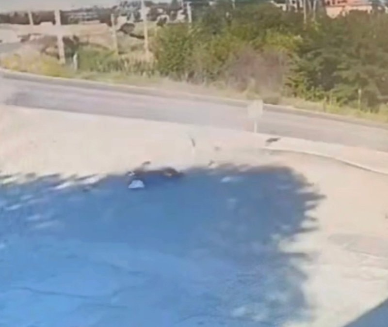 Adıyaman'da bariyerlere çarpan motosikletin sürücüsü öldü
