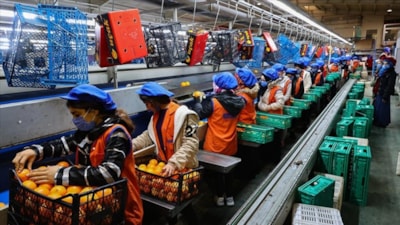 İSO Türkiye İmalat PMI mayısta 49,8'e yükseldi