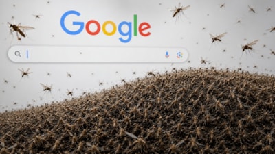 Google, doğaya 32 milyon sivrisinek bırakacak! İşte nedeni