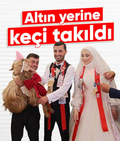 Trabzon'da damada altın yerine keçi takıldı