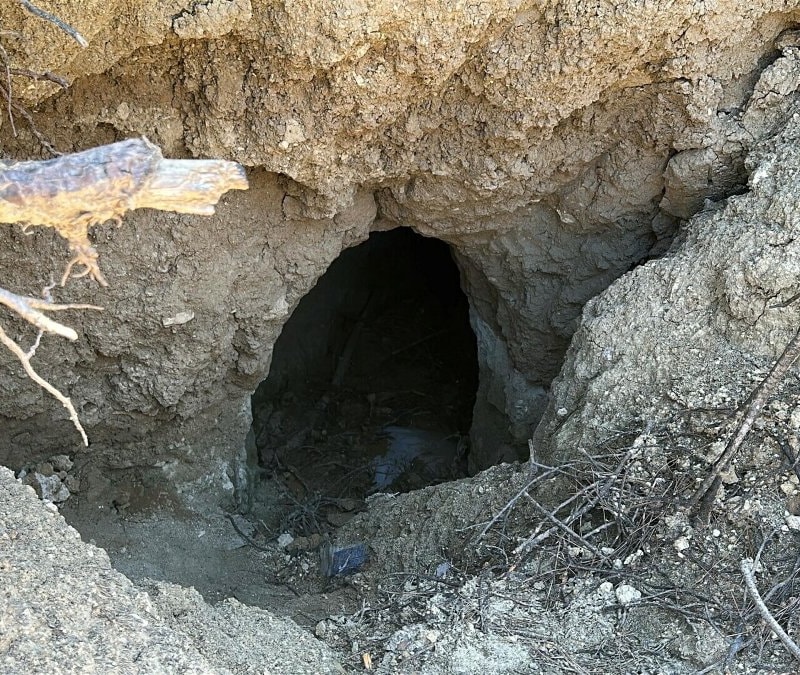 Çanakkale'de yangın sonrası ortaya çıkan tümülüs, definecilerin hedefi oldu