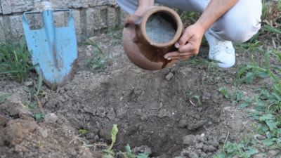 Hatay'da toprak altından çıkan lezzet: Cara peyniri ve çökeleği