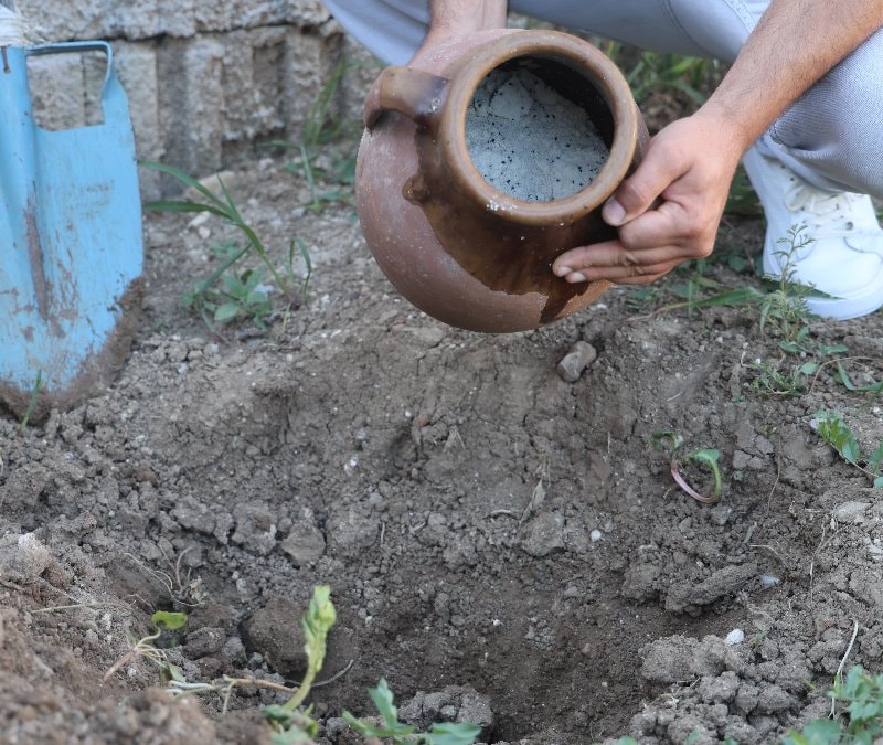 Hatay'da toprak altından çkıkan lezzet: Cara peyniri ve çöke