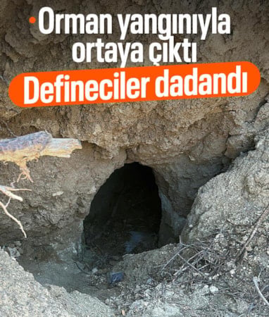 Çanakkale'de yangın sonrası ortaya çıkan tümülüs, definecilerin hedefi oldu