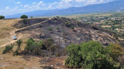 Aydın'da makilik ve zeytinlik alanda çıkan yangın kontrol altında