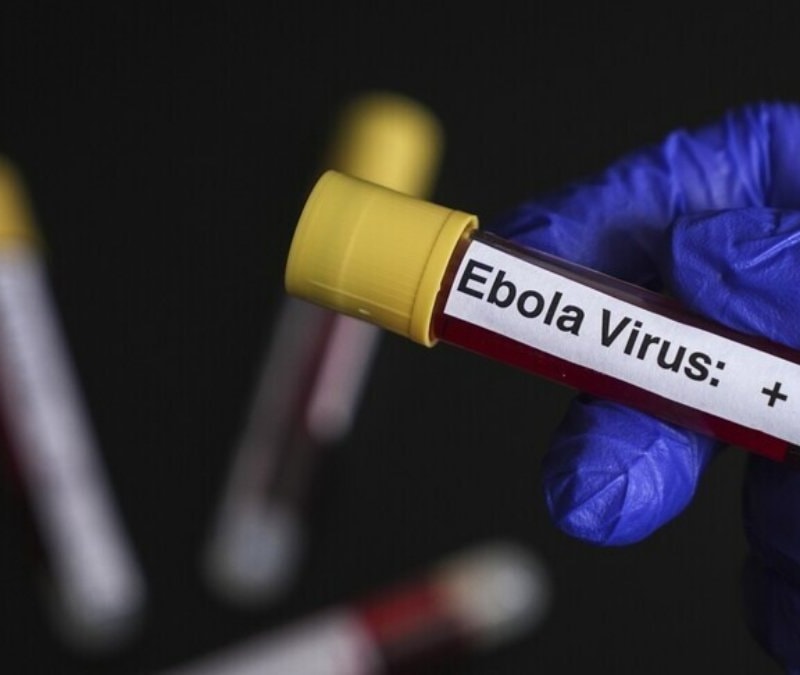 Ebola tehdidi nedeniyle Nijerya'da alarm durumuna geçildi