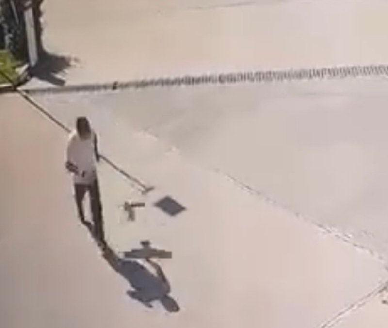 Elazığ'da kargadan kaçarken yere düştüğü anlar kamerada