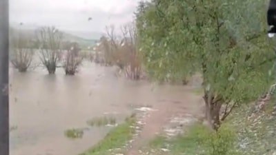Bolu'da sağanak: Bahçe ve ahırlar sular altında kaldı