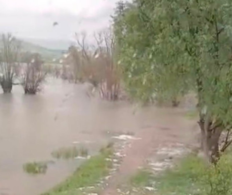 Bolu'da sağanak: Bahçe ve ahırlar sular altında kaldı
