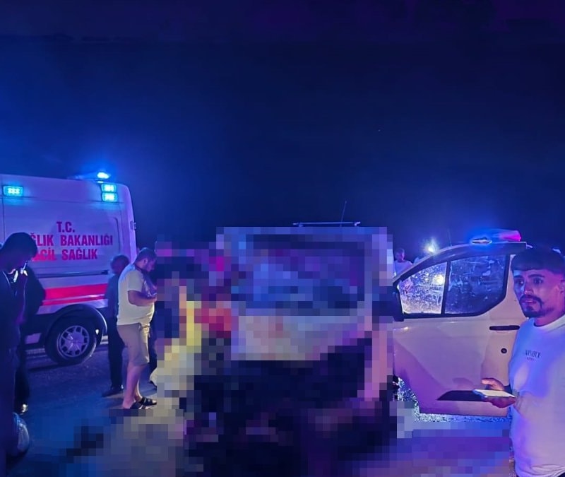 Bingöl-Erzurum kara yolunda minibüs yola çıkan ata çarptı: 1 ölü, 2 yaralı
