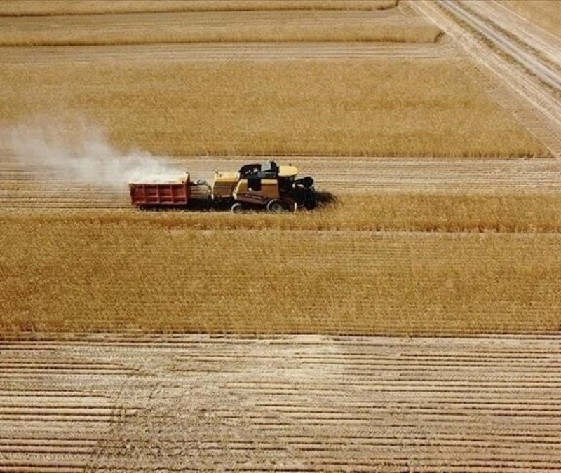 Tarım ve hayvancılığa 165,5 milyon lira destek ödemesi
