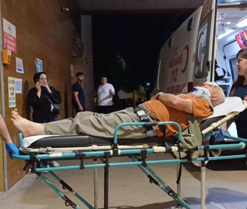 Bursa'da erik toplamak için çıktığı ağaçtan düşerek yaralandı