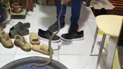 Antalya'da evine girdiği yılan ile konuşması güldürdü