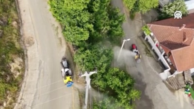 Çiftçinin canını sıkan kahverengi kokarcaya karşı mücadele