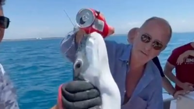 Fatih Altaylı, Antalya açıklarında yakaladığı balığı paylaştı