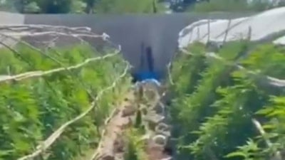 Hatay'da uyuşturucu operasyonu: 6 kişi tutuklandı