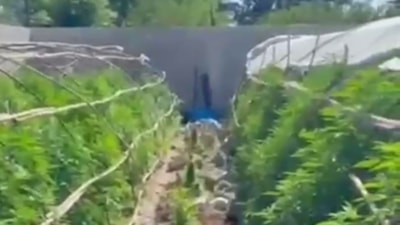 Hatay'da seraları uyuşturucu üssüne çevirdiler
