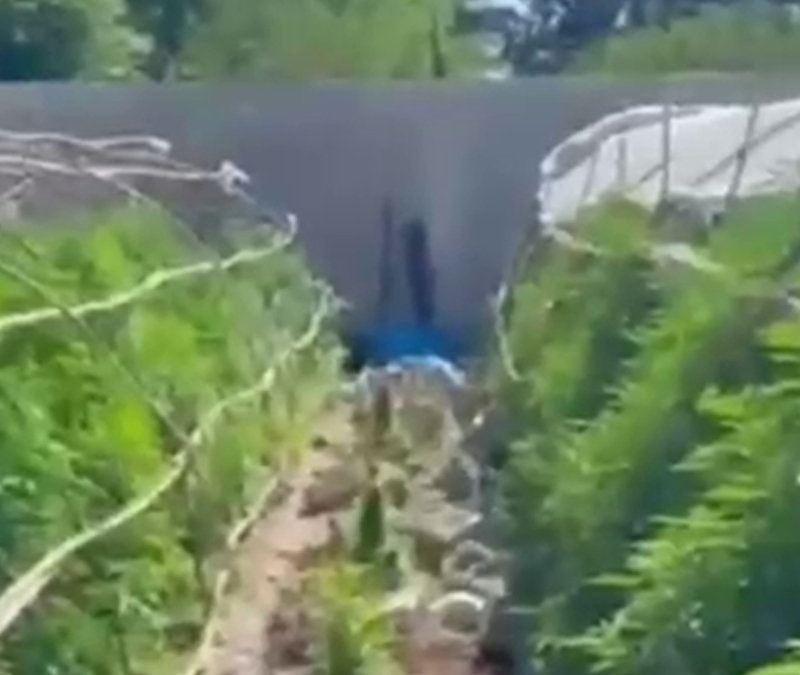 Hatay'da seraları uyuşturucu üstüne çevirdiler