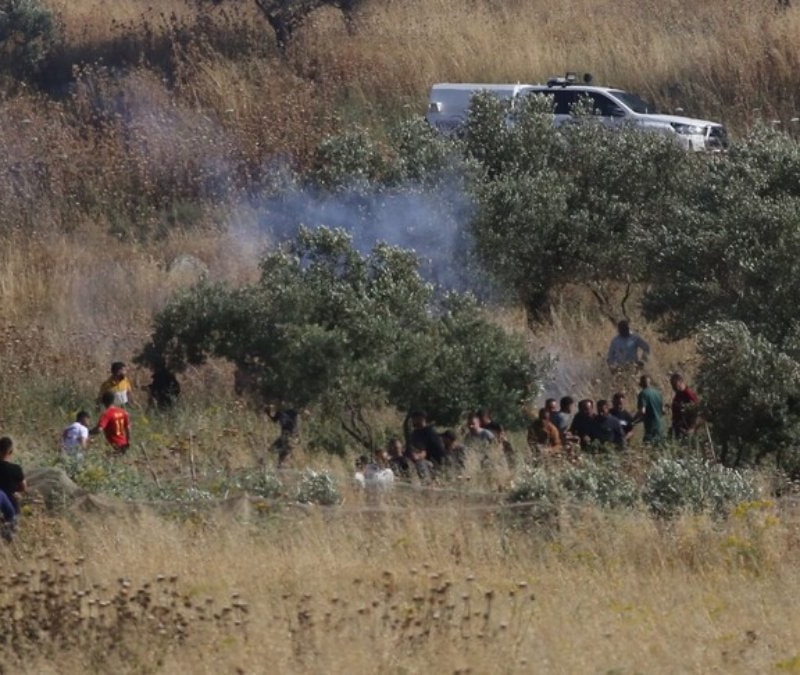 İsrail, Batı Şeria'da Filistinlilere ait araziyi gasbetti