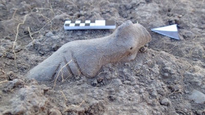 Kanlıtaş Höyüğü’nde 8 bin yıllık figürinler: Neolitik ritüellere dair yeni bulgular
