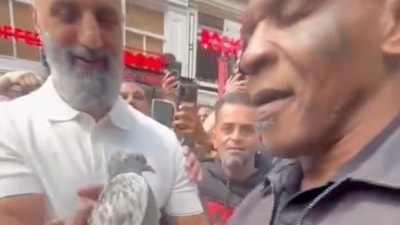 Hollanda’da Birol Topuz, Mike Tyson’a gökyüzüne salması için güvercin hediye etti
